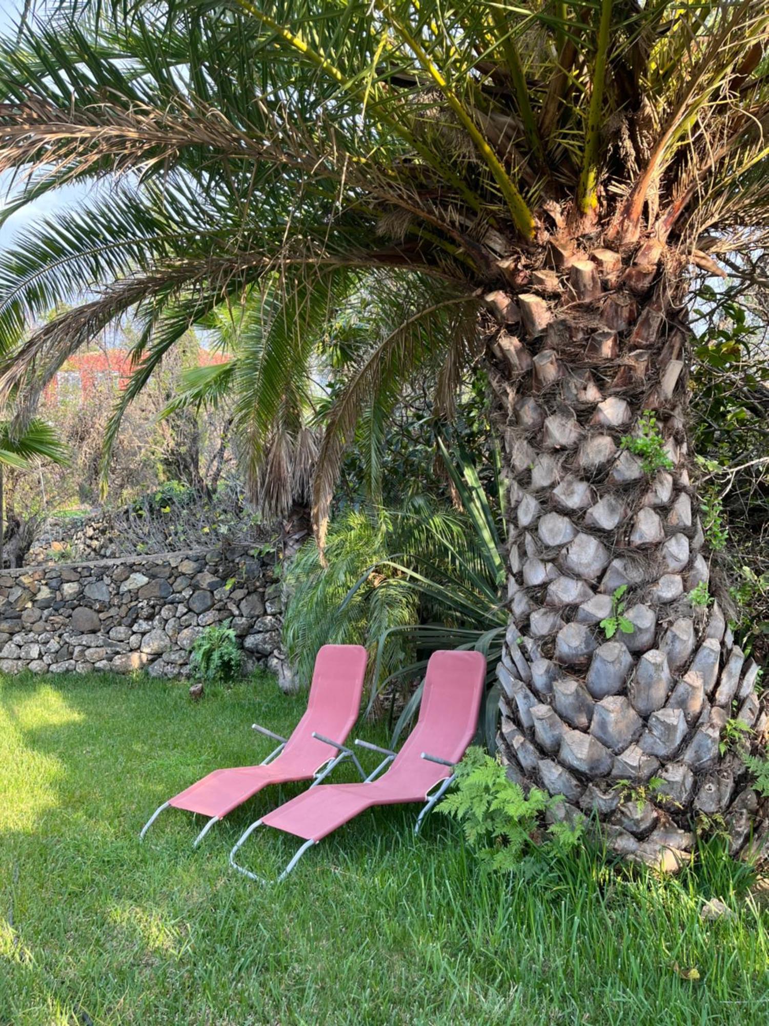 Feriendomizil Finca Tijarafe Mit Beheiztem, Abdeckbarem Pool Экстерьер фото